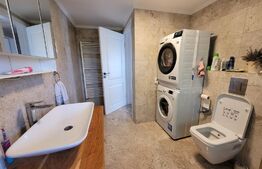 Casa de 220 mp, teren 1350 mp, in Salicea