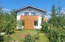 Casa de 220 mp, teren 1350 mp, in Salicea