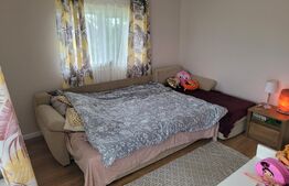 Casa de 220 mp, teren 1350 mp, in Salicea