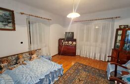 Casa de 120 mp, teren 1500 mp, in satul Lita