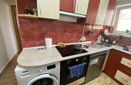 Apartament 2 camere, decomandate, petfriendly, zona Piata Flora