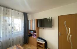 Apartament 2 camere, decomandate, petfriendly, zona Piata Flora