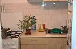 Vanzare garsoniera, 23 mp, etaj intermediar, zona strazii Dambovitei