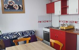 Apartament 2 camere decomandate, 40 mp, prima inchiriere, zona Brancusi