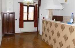 2 camere, 50 mp, partial mobilat, finisat modern, zona Piata Marasti