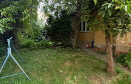 Casa individuala, 70 mp, curte privata, zona Horea