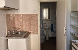 Casa individuala, 70 mp, curte privata, zona Horea