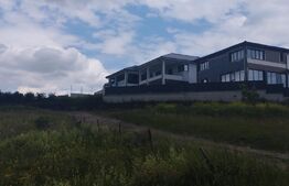 Oportunitate! Casa individuala 240 mp, teren 500 mp, Dezmir