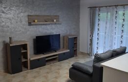 Apartament 2 camere, 53 mp, etaj intermediar, zona Teilor