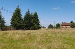 Teren intravilan, 1500 mp, Balcesti-Belis 