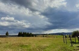 Teren intravilan, 1500 mp, Balcesti-Belis 