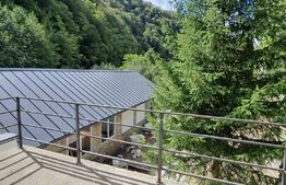 Pensiune/Camin de varstnici, teren 2435 mp, 430 mp utili, zona Somesu Rece