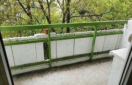 Garsonieră, Pet Friendly, 28 mp, zona strazii Rapsodiei 