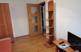 Garsonieră, Pet Friendly, 28 mp, zona strazii Rapsodiei 