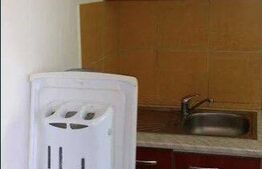 Garsonieră, Pet Friendly, 28 mp, zona strazii Rapsodiei 