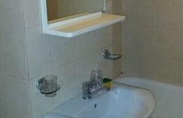 Garsonieră, Pet Friendly, 28 mp, zona strazii Rapsodiei 