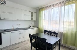 Apartament de 3 camere, 52 mp, mobilat/utilat, zona străzii Maramureșului
