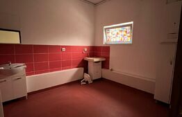 Spatiu comercial cu potential, ideal salon sau clinica, 56 mp, zona Terra