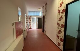 Spatiu comercial cu potential, ideal salon sau clinica, 56 mp, zona Terra