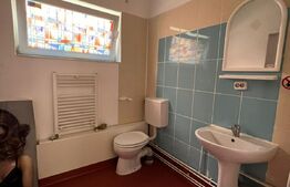 Spatiu comercial cu potential, ideal salon sau clinica, 56 mp, zona Terra