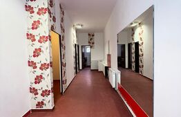 Spatiu comercial cu potential, ideal salon sau clinica, 56 mp, zona Terra