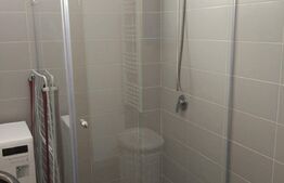 Apartament 2 camere, 60 mp, Pet Friendly, A.C, zona stăzii Borhanci