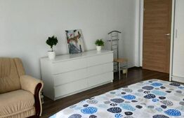 Apartament 2 camere, 60 mp, Pet Friendly, A.C, zona stăzii Borhanci