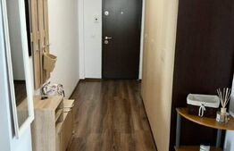 Apartament 2 camere, 60 mp, Pet Friendly, A.C, zona stăzii Borhanci