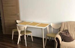 Apartament 2 camere, 60 mp, Pet Friendly, A.C, zona stăzii Borhanci