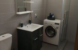Apartament 2 camere, 60 mp, Pet Friendly, A.C, zona stăzii Borhanci