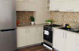 Apartament 2 camere, 60 mp, Pet Friendly, A.C, zona stăzii Borhanci