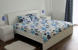 Apartament 2 camere, 60 mp, Pet Friendly, A.C, zona stăzii Borhanci