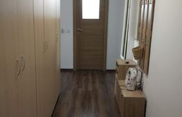 Apartament 2 camere, 60 mp, Pet Friendly, A.C, zona stăzii Borhanci