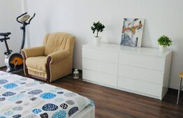 Apartament 2 camere, 60 mp, Pet Friendly, A.C, zona stăzii Borhanci