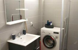 Apartament 2 camere, 60 mp, Pet Friendly, A.C, zona stăzii Borhanci