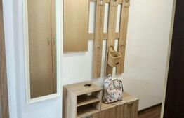 Apartament 2 camere, 60 mp, Pet Friendly, A.C, zona stăzii Borhanci