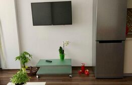 Apartament 2 camere, 60 mp, Pet Friendly, A.C, zona stăzii Borhanci