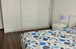 Apartament 2 camere, 60 mp, Pet Friendly, A.C, zona stăzii Borhanci