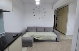Apartament 3 camere, 55 mp, etaj intermediar, Baciu Petrom