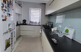 Apartament 3 camere, 55 mp, etaj intermediar, Baciu Petrom