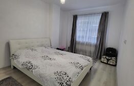 Apartament 3 camere, 55 mp, etaj intermediar, Baciu Petrom