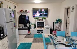 Apartament 2 camere, etaj intermediar, mobilat modern, zona Porii