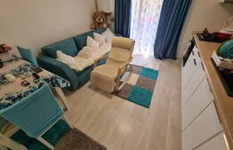 Apartament 2 camere, etaj intermediar, mobilat modern, zona Porii