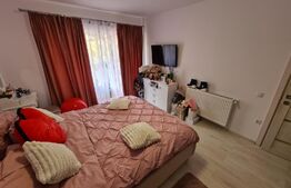 Apartament 2 camere, etaj intermediar, mobilat modern, zona Porii