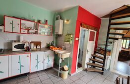 Casa de vacanta 100 mp, teren de 3058 mp, in Mihai Viteazu, Turda