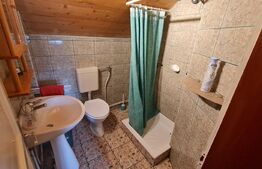 Casa de vacanta 100 mp, teren de 3058 mp, in Mihai Viteazu, Turda