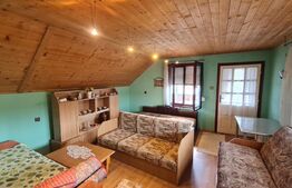 Casa de vacanta 100 mp, teren de 3058 mp, in Mihai Viteazu, Turda