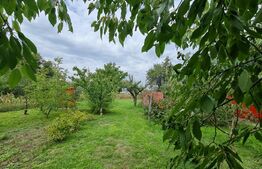 Casa de vacanta 100 mp, teren de 3058 mp, in Mihai Viteazu, Turda