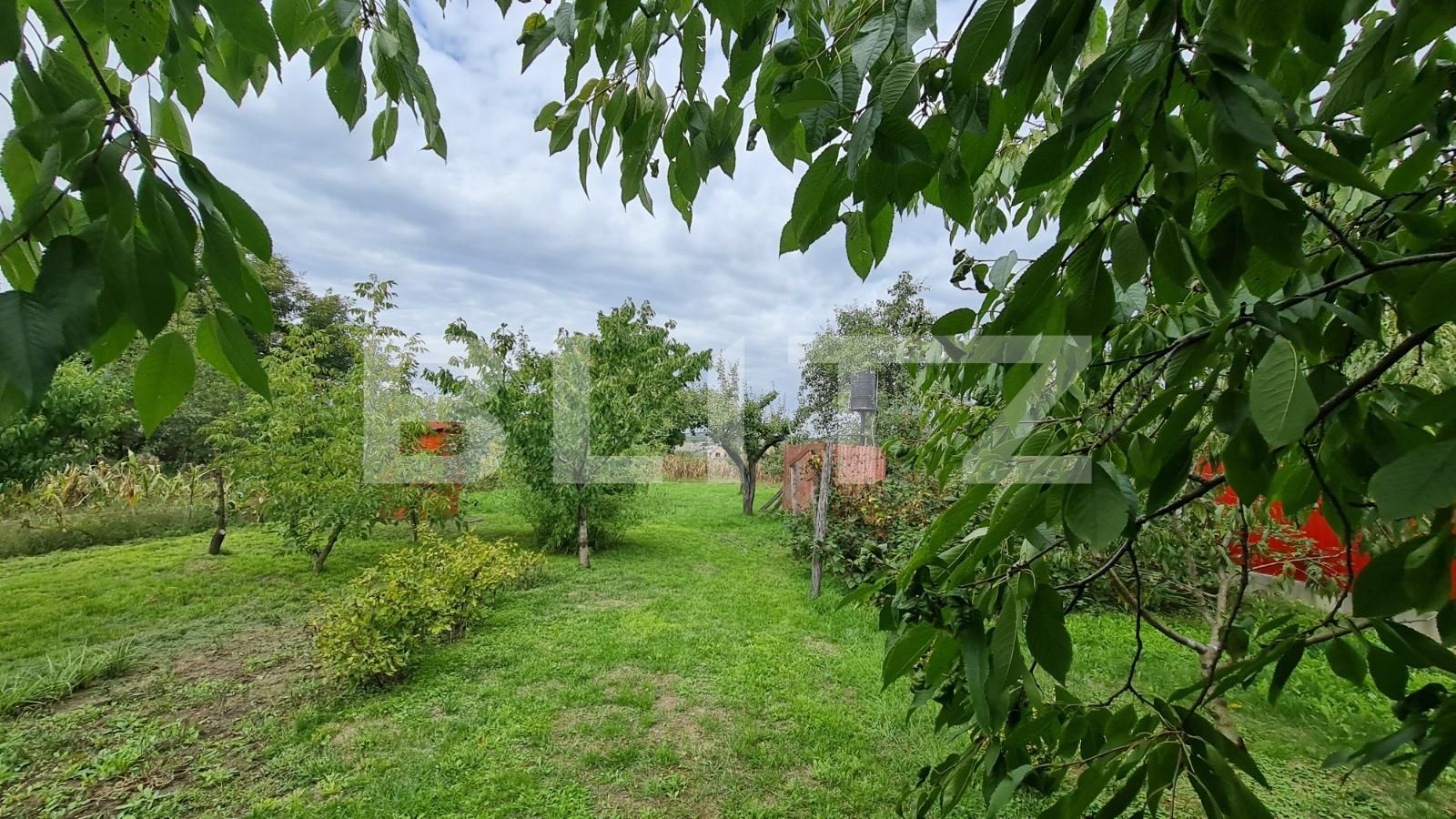 Casa de vânzare 3 camere Mihai Viteazu - 96889CV | BLITZ Cluj-Napoca | Poza6