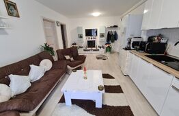Apartament 2 camere, etaj intermediar, mobilat modern, zona Porii